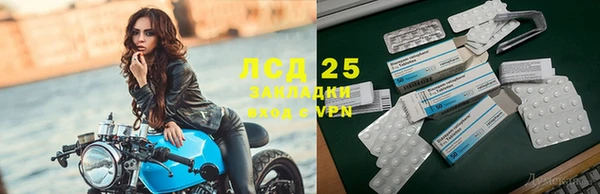 твердый Дмитриев