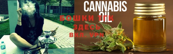 твердый Дмитриев