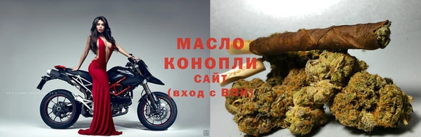 соль ск Елабуга