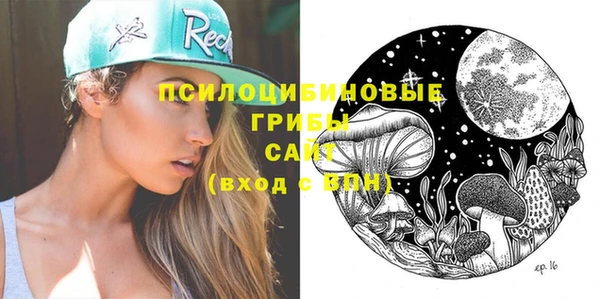 соль ск Елабуга