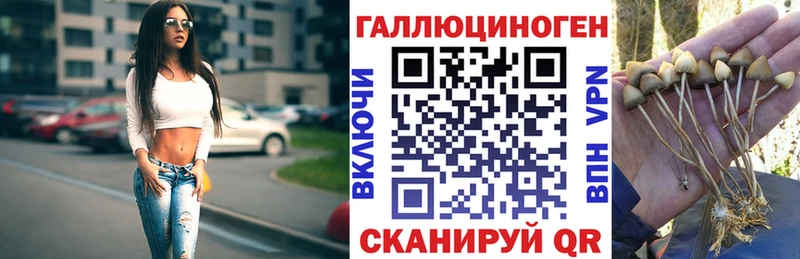 наркотики Мурманск Галлюциногенные грибы ЛСД