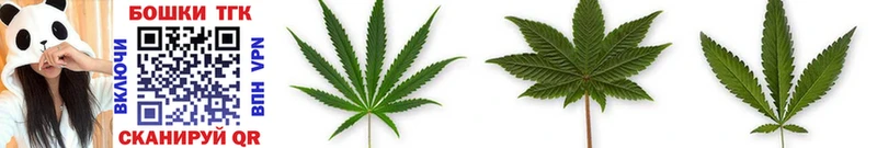Конопля OG Kush  как найти закладки  Мурманск 